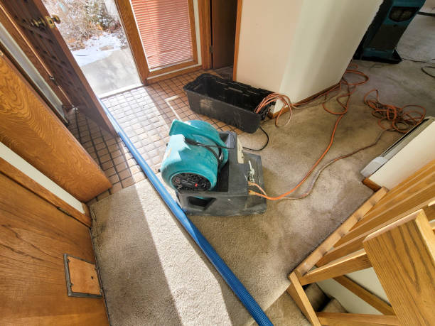 Best Professional water damage repair  in Keene, NH