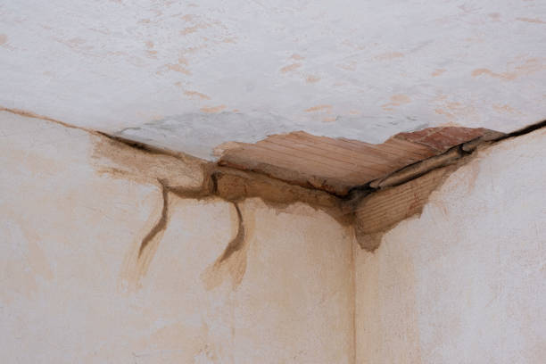Best Water damage cleanup near me  in Keene, NH