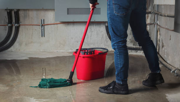 Best Commercial water damage restoration  in Keene, NH